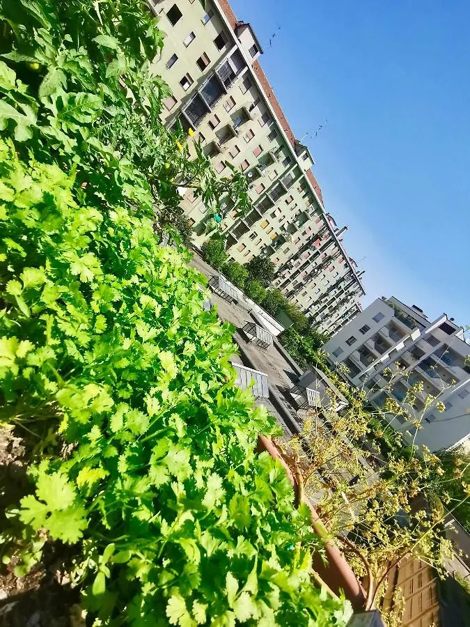 招待所 娃奥住宿加早餐旅馆 米兰
